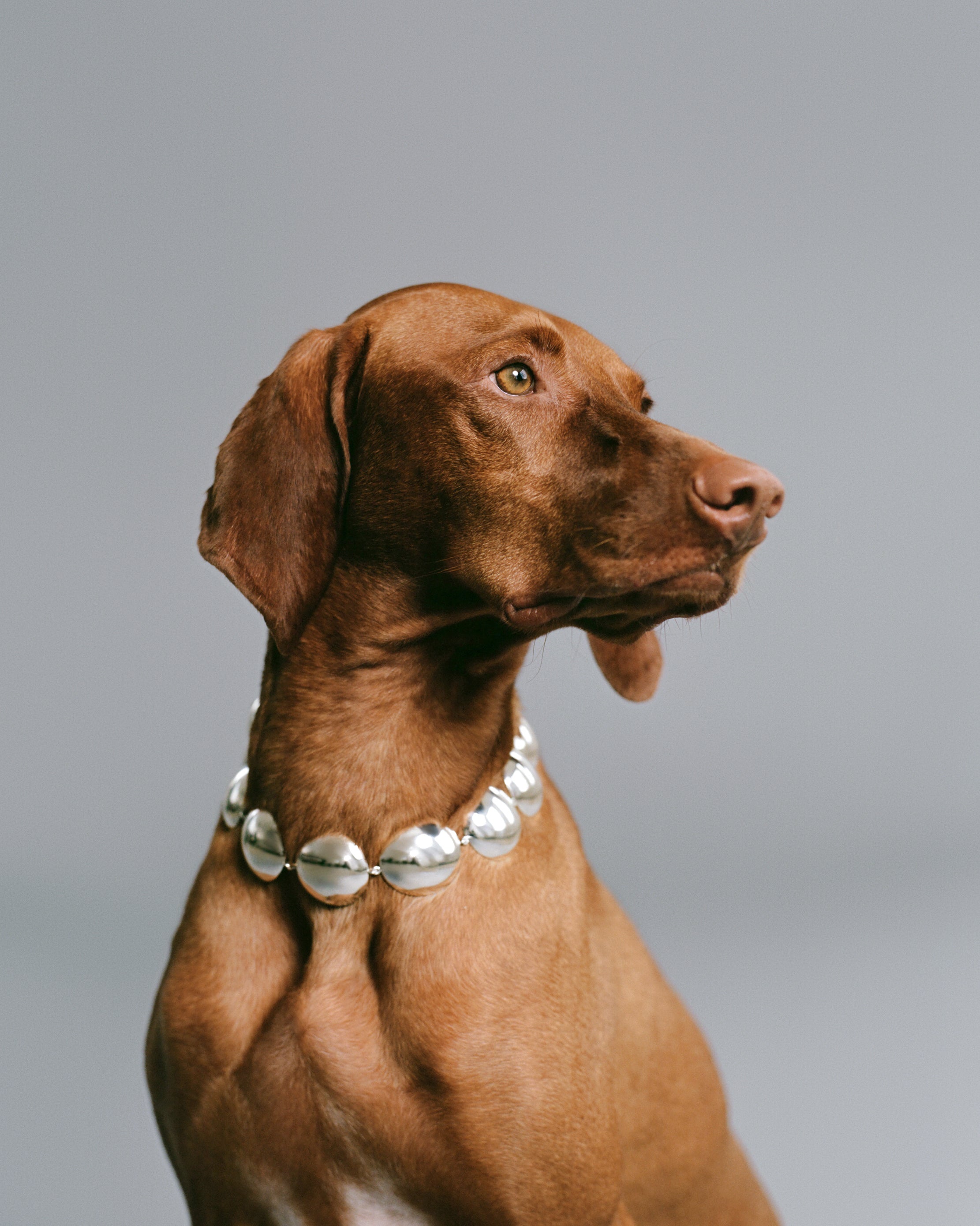 Dome Necklace