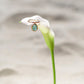 18K White Gold Blue Topaz Calla Flip Ring